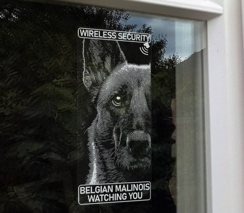 Insegna adesiva finestra belga - adesiva,