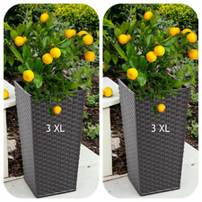 Fioriera antracite grafite