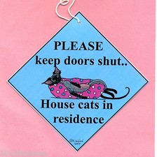 Devon Rex cat in residence