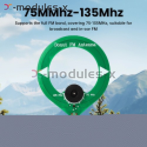 Modulo antenna mini loop