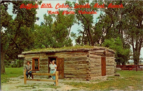 Cartolina epoca buffalo - cartolina, d'epoca