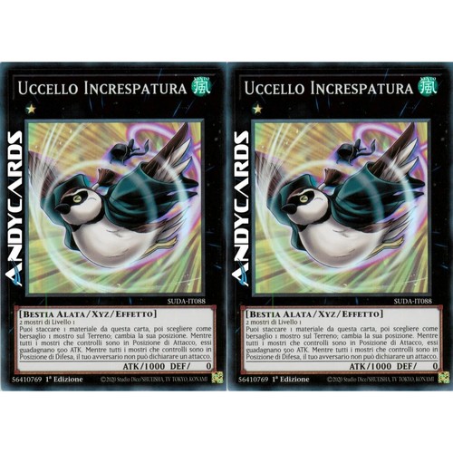 Uccello increspatura - uccello, •