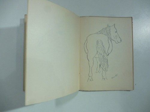 Cavalcature cesetti - 14, cavalcature,