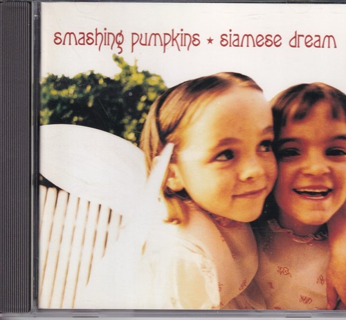 Smashing pumpkins siamese - pumpkins,