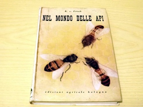 Nel mondo delle api v - mondo,