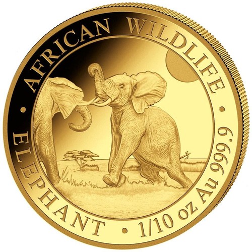 Moneta oro elefante fauna