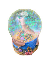 Bianco Squalo Animale Pesce