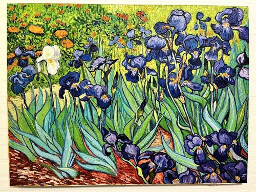 Campo iris van - iris,, falso
