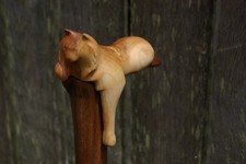 Bastone da passeggio in legno