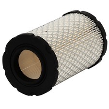 Filtro aria per motore Briggs