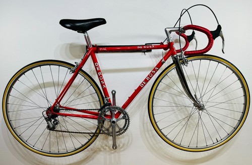 Rosa professionale 1977 - rosa,