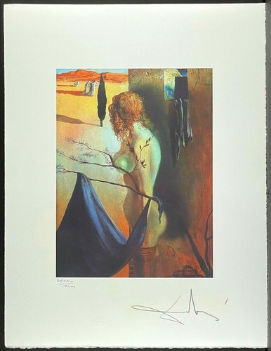 Salvador dali segnale - salvador, *