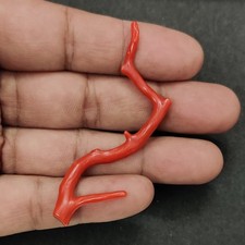 Ramo di corallo rosso italiano