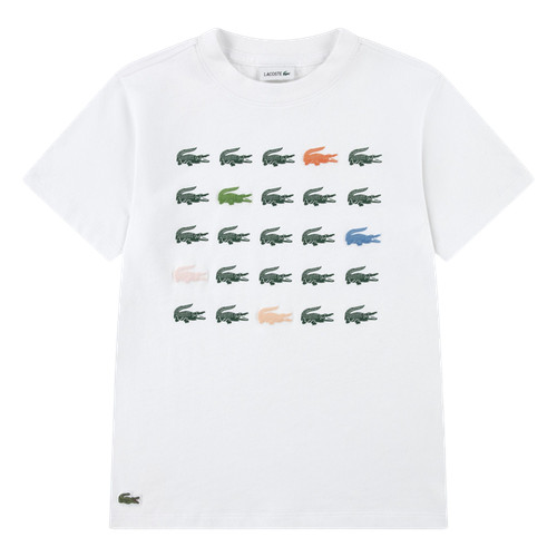 Shirt bimbo lacoste - bimbo, art