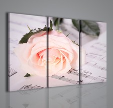 QUADRI MODERNI MELODY WHITE