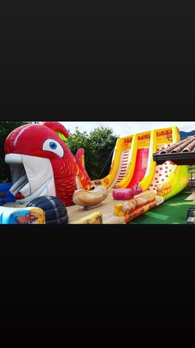 Gioco gonfiabile professionale - gonfiabile,