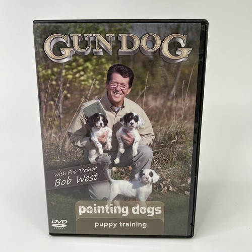 Gun dog cani - da, punta