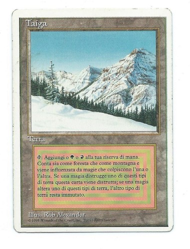 Magic mtg taiga fwb - taiga, italian