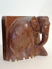 Elefanti ferma libri coppia in