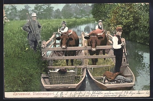 Spreewald trasporto - ak,
