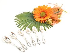 Cucchiaini argento stile - in,