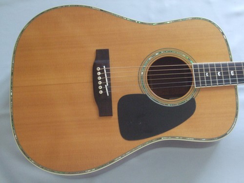 Chitarra acustica takamine - chitarra,