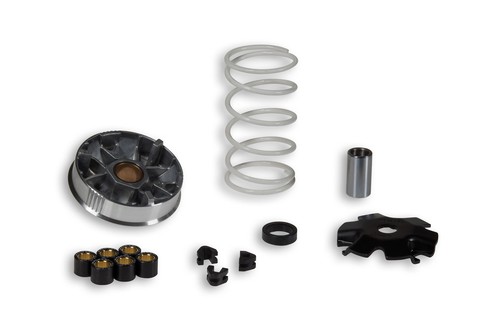 Variatore malossi 517484 - malossi,