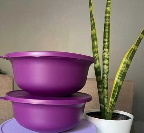 Tupperware aloha ciotola - l,