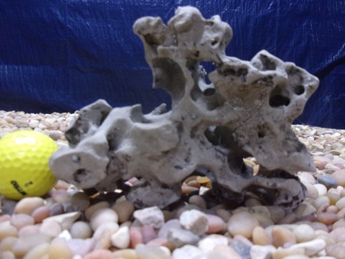 Texas holey rock - 02#,