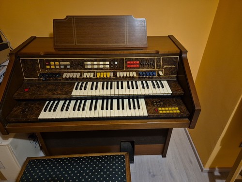 Organo elettronico farfisa - organo,