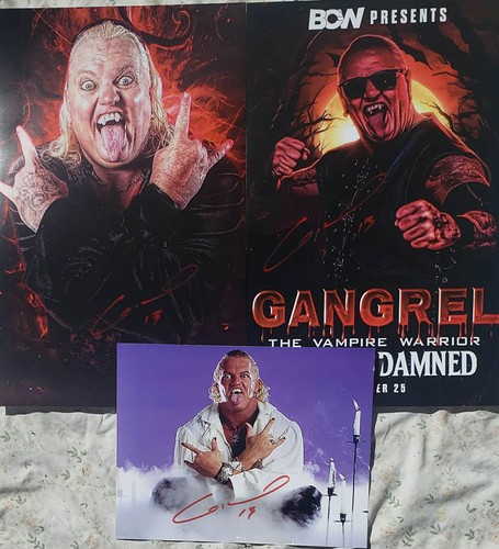 Gangrel firmato lotto 3 - gangrel,