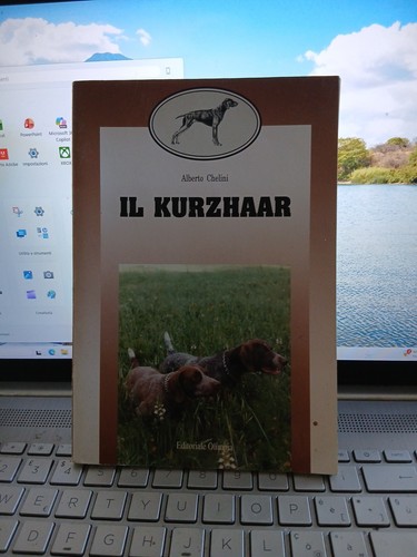 Kurzhaar alberto chelini - kurzhaar,