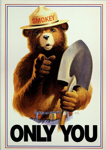 Smokey orso solo tu - solo,
