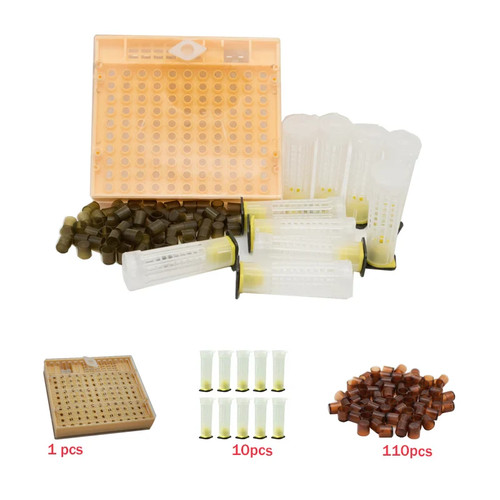 Kit apicoltura allevamento - apicoltura,