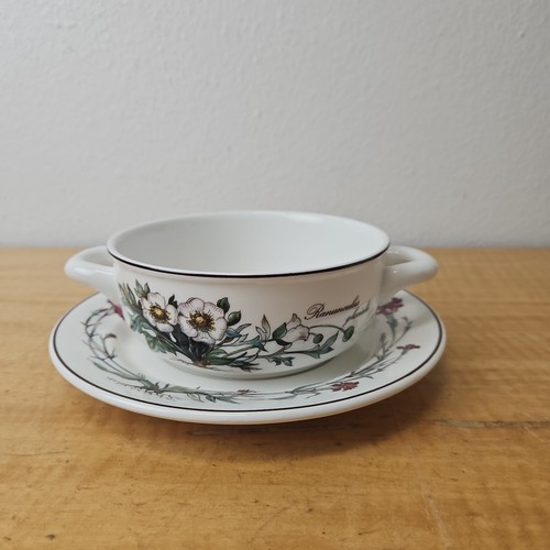 Villeroy and boch botanica - and,