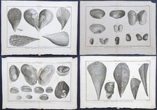 lotto 4 stampe antiche diderot