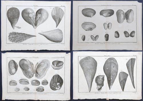 Lotto stampe antiche diderot - lotto,