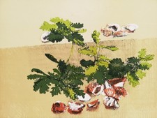 GIANCARLO CAZZANIGA: Rara