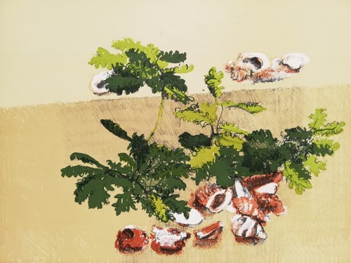 Giancarlo cazzaniga rara - cazzaniga:,
