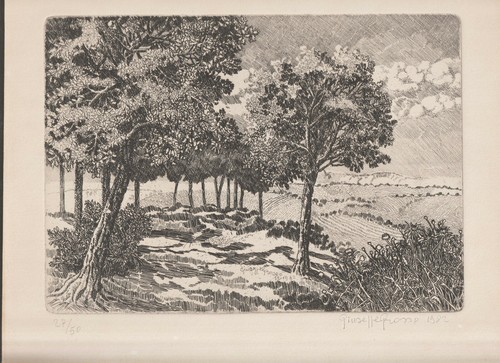 Giuseppe grosso incisione - giuseppe,