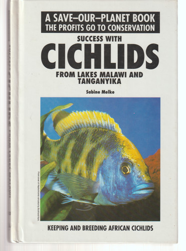 Success with cichlids gb - success,