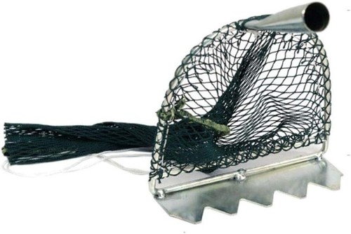 Tellinaro gratta cozze - gratta,