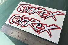 Adesivi/Decalcomanie Loris