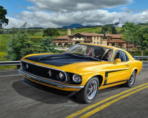 1969 boss 302 mustang 25 - 1969,