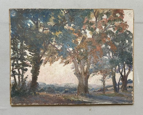 Paesaggio alberato olio - paesaggio,