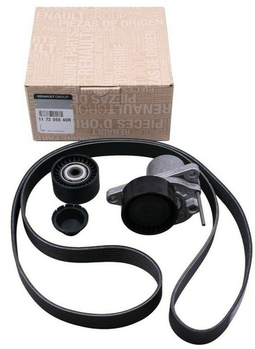 Tensionatore cinghia