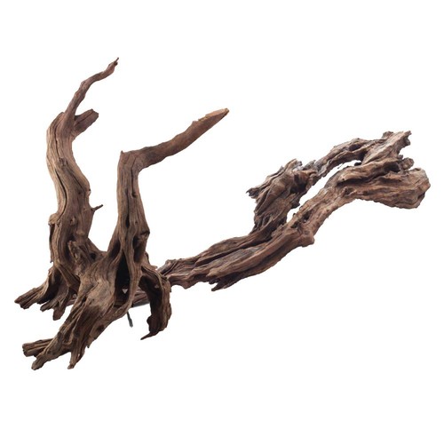 Amtra legno ikebana - legno, l