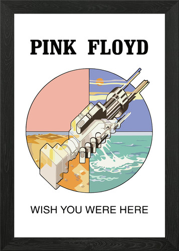 Pink floyd wish you - floyd, were