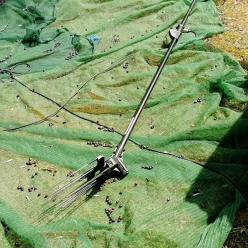 Abbacchiatore elettrico per