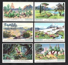 Climate & Vegetation Liebig